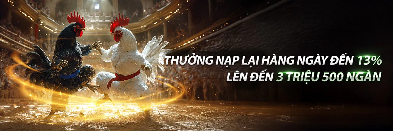 Đá Gà Trực Tuyến fv99 - Sân đấu kịch tính