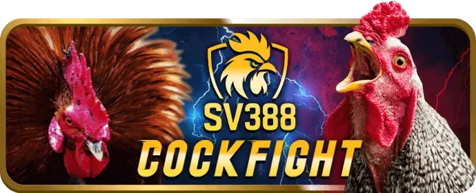 Hướng dẫn cá cược thể thao fv99